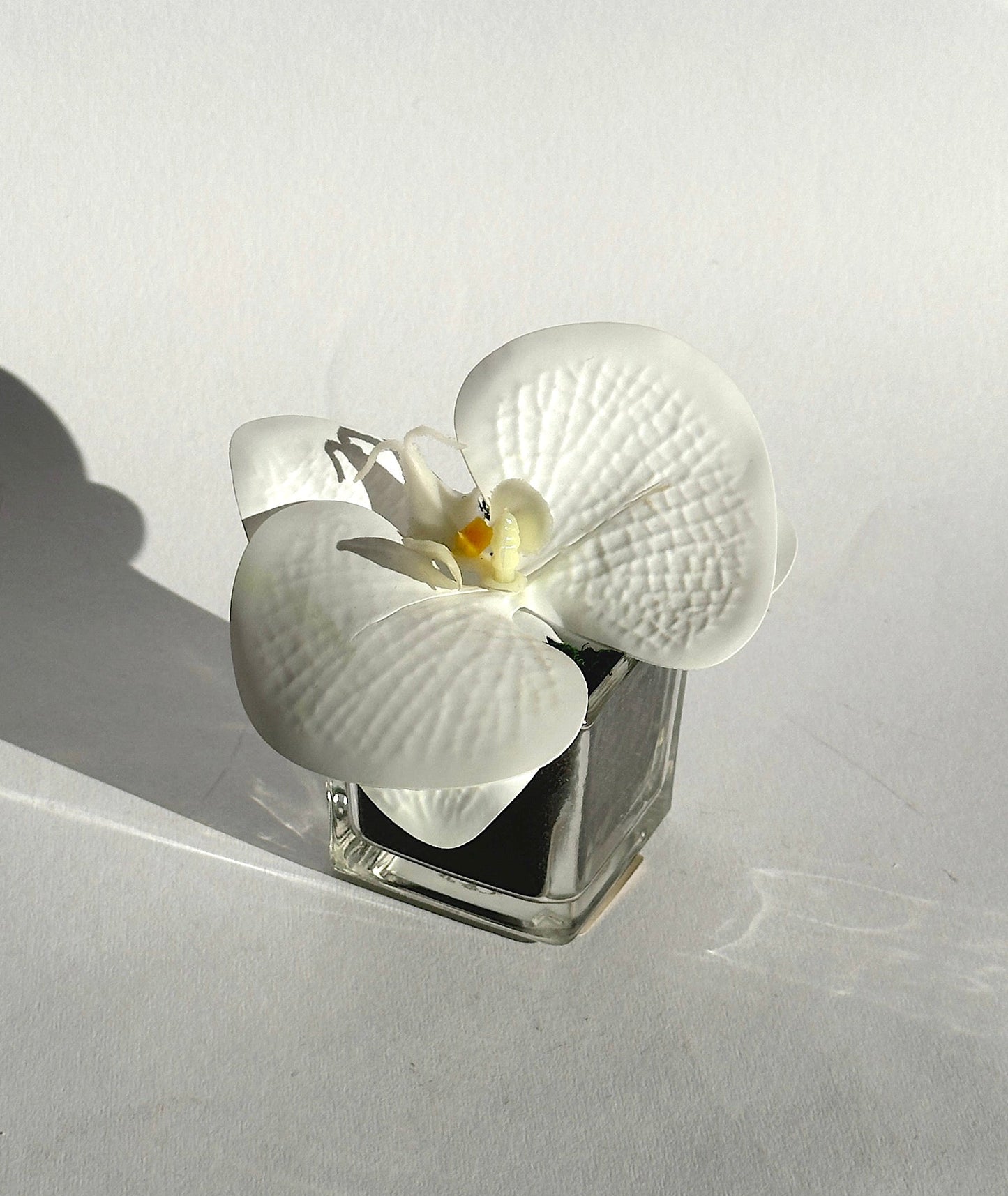MINI ORCHID I