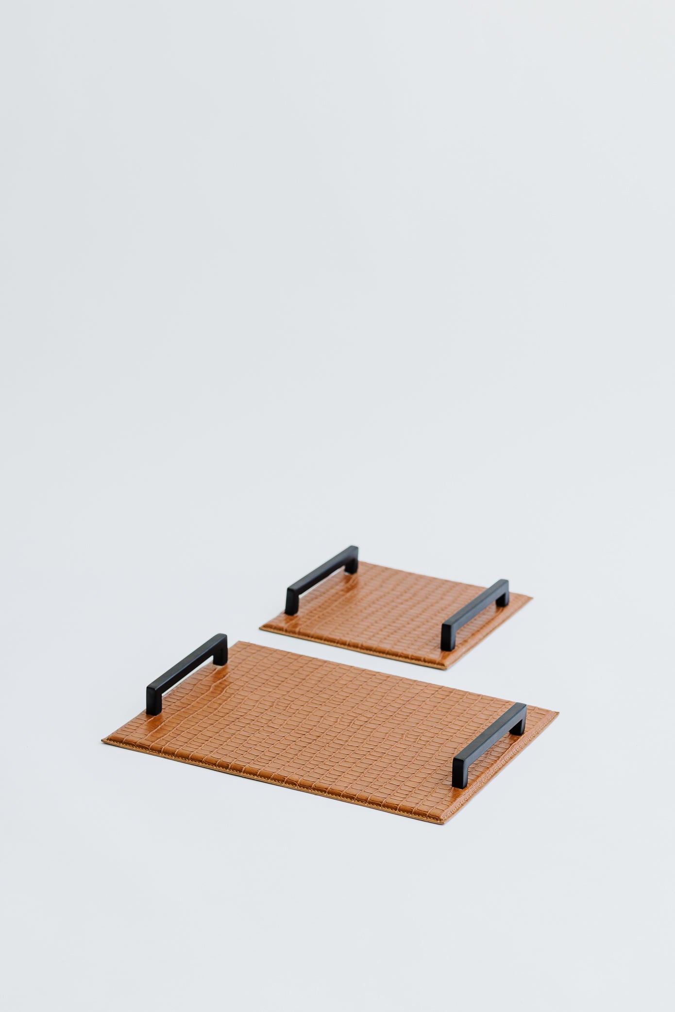 CARTER TRAY - MICRO SET
