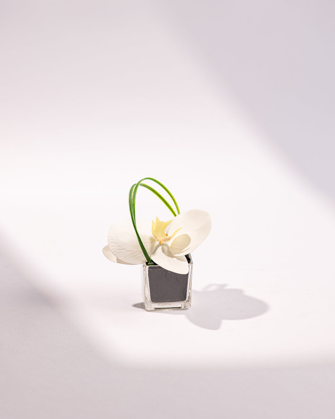 MINI ORCHID I