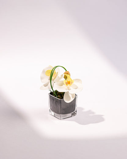 MINI ORCHID II