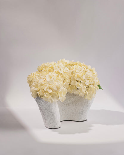 COVED VASES
