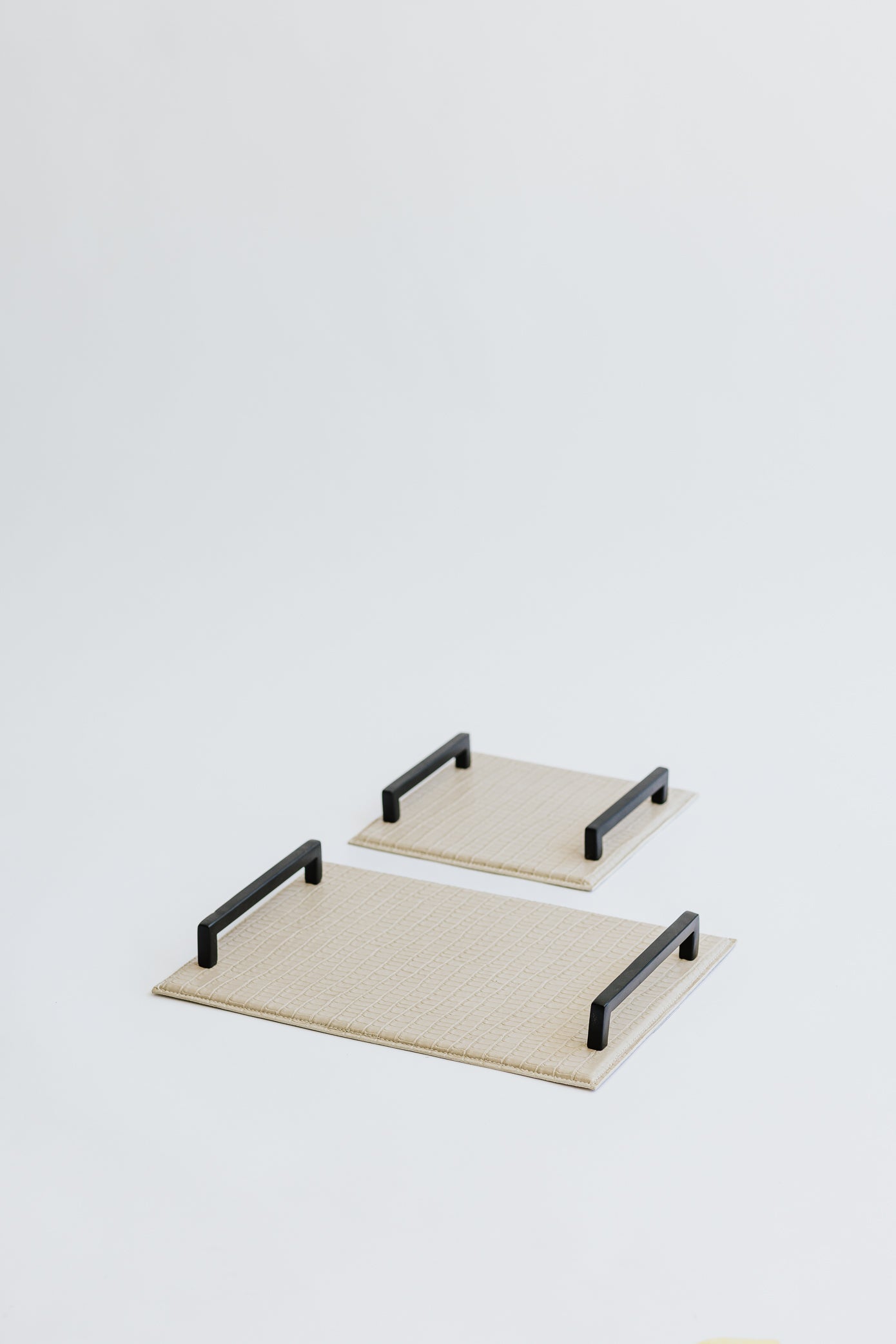 CARTER TRAY - MICRO SET