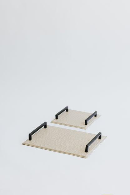 CARTER TRAY - MICRO SET