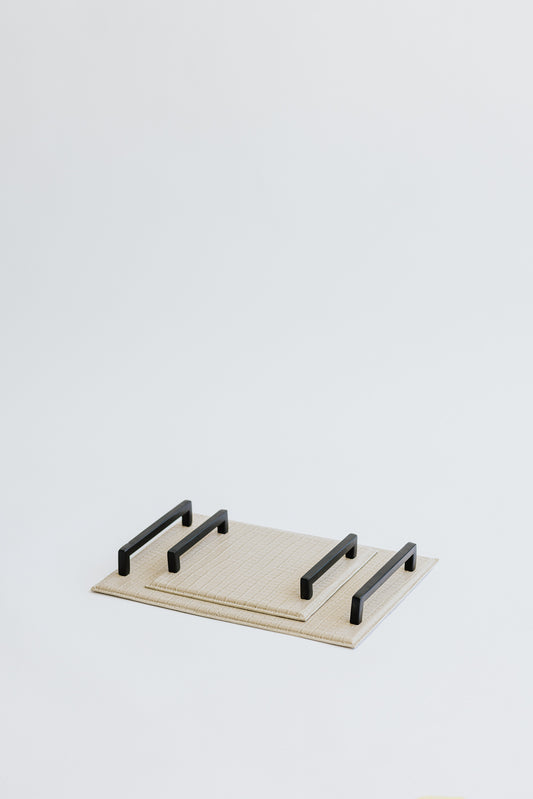 CARTER TRAY - MICRO SET