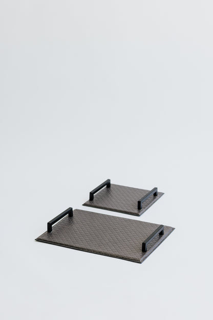 CARTER TRAY - MICRO SET