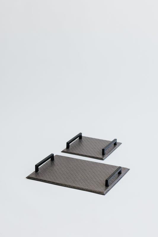 CARTER TRAY - MICRO SET