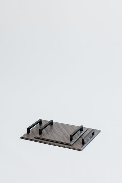 CARTER TRAY - MICRO SET