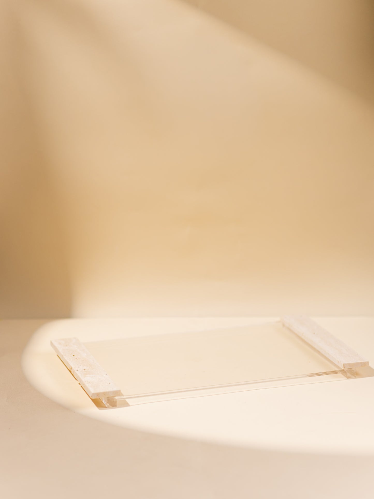TP TRAY