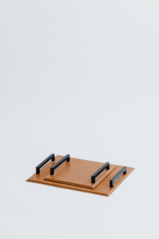 CARTER TRAY - MICRO SET